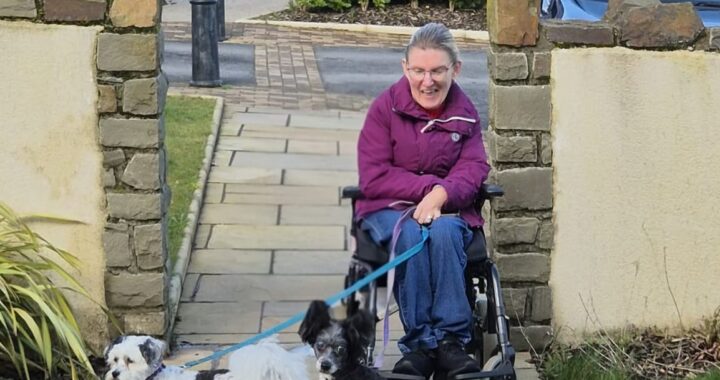 Person in wheelchair with two dogs.